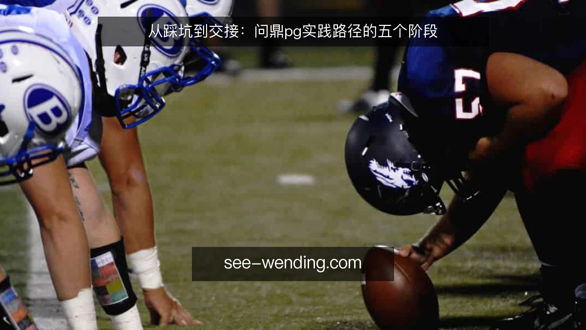 从踩坑到交接:问鼎pg实践路径的五个阶段