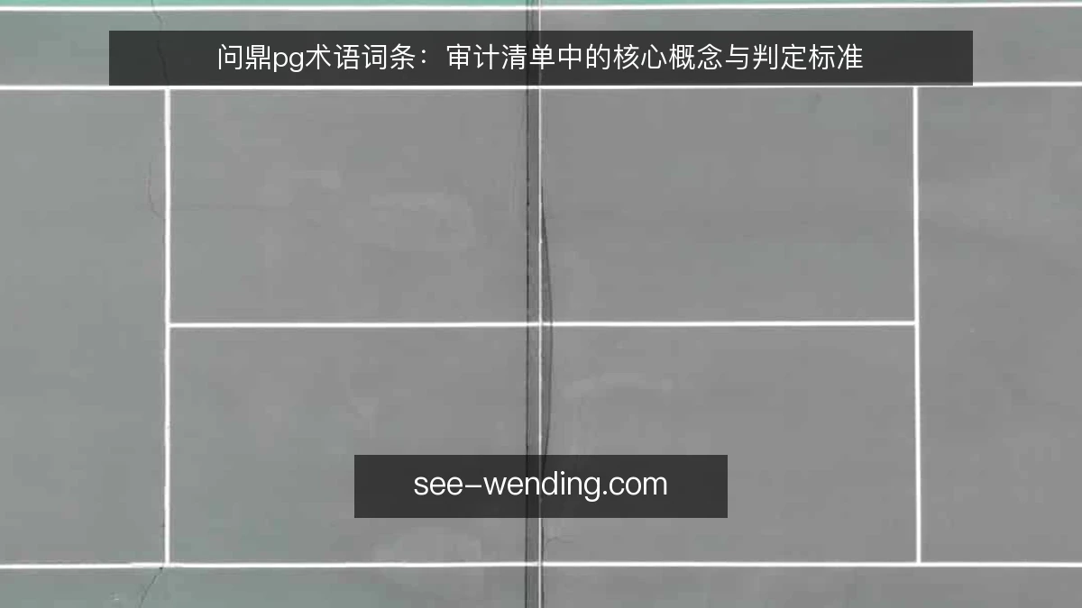 问鼎pg术语词条：审计清单中的核心概念与判定标准