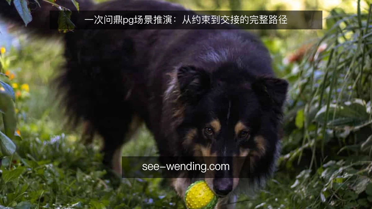 一次问鼎pg场景推演:从约束到交接的完整路径